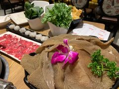 -掂档潮汕牛肉火锅(沈阳万象城店)