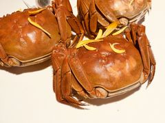 -徐记海鲜(曲江南湖店)