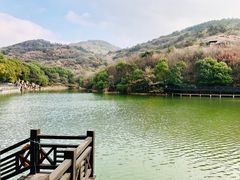 -白马涧龙池景区