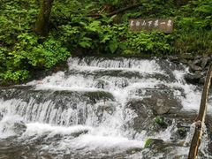 -峡谷浮石林景区