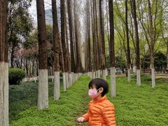 -后襄河公园