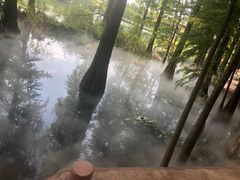 -东湖落雁景区