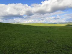 -乌兰布统草原
