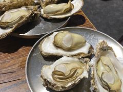 -蚝堡海鲜·威海菜·海肠捞饭·烧烤·亚洲吃蚝公司(幸福门店)