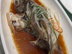 -紫阳富豪大酒店(惠南店)