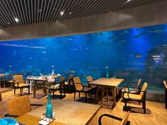 -海棠湾洲际-涛·海底餐厅·美人鱼·自助餐·海底隧道