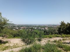 -白水寺森林公园