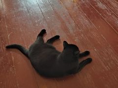 -春风十里咖啡馆