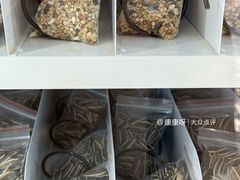 -哈密回王府景区