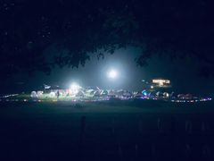 -武陵山森林公园