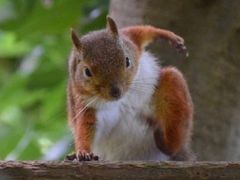 -鑫雅居公寓(广州南站地铁站店)