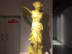 -成都泰迪熊博物馆
