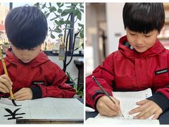 -曦辰书院·书法篆刻