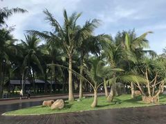 -万绿园