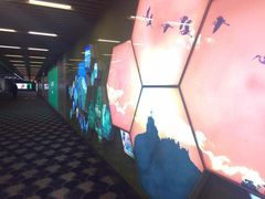 -厦门高崎国际机场-T3航站楼