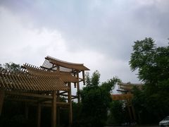 -桤木河湿地公园