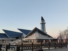 -盐城丹顶鹤湿地生态旅游区