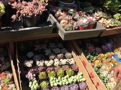 -玉泉综合市场(天山北路店)