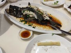-老蒲鲜(涵江店)