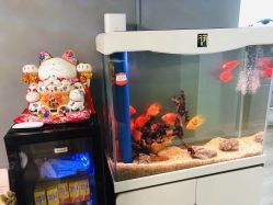 -妙睫屋日式美甲美睫