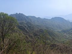 -大岭沟猕猴桃谷风景区