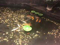 -久宴·天目湖大鱼头(恐龙园店)