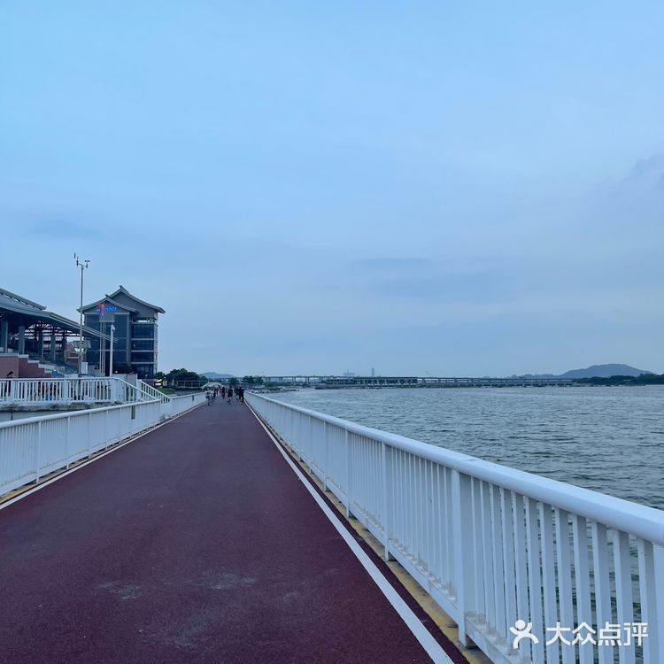 360度海景的集美海上自行车道🏃‍♀️跑步太棒啦[色][色]