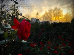 -西安汉城湖景区