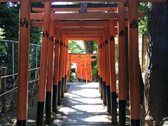 -上野公园花园稻荷神社(忍岡稲荷神社)