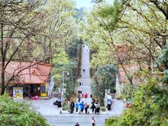 -东湖磨山景区