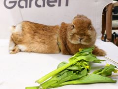 -状元楼(金溪路店)