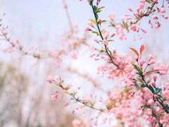 -芙蓉街-王府池子