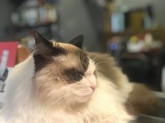 -咖法森林·咖啡  酒吧(天河店)