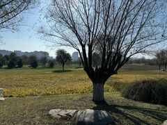 -汉长安城未央宫国家考古遗址公园