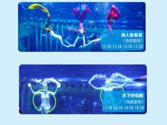 -西安曲江海洋极地公园