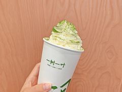 -一树一叶·福建茶档(石鼓路店)