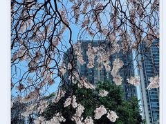 -红星桥(地铁站)
