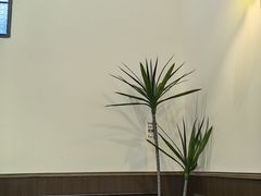 -留白咖啡(人民巷八号大院店)