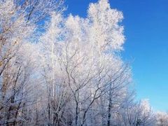 -长白山万达国际滑雪场