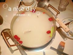 -渔惑·中山脆肉鲩火锅(仁恒梦店)