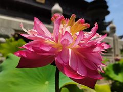 -重元寺