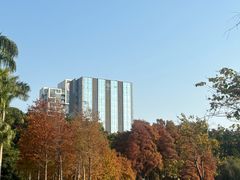 -金砂公园