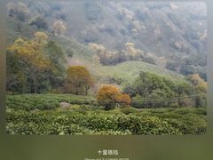 -十里琅珰