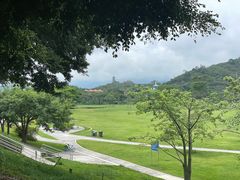 -风云岭森林公园