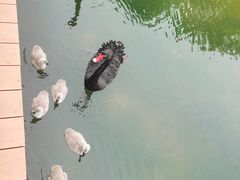 -武汉动物园