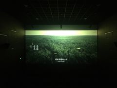 -纵横国际影城杜比全景声巨幕(天安云谷店)