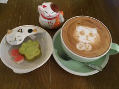 -猫咪博物馆(顶澳仔猫街店)