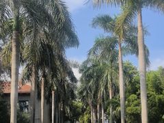 -厦门大学(思明校区)