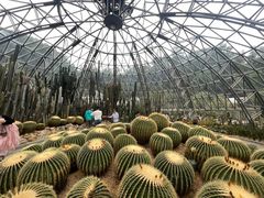 -深圳仙湖植物园