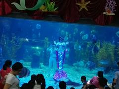 -台州海洋世界